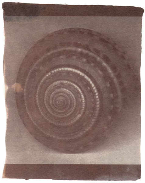 schnecke01